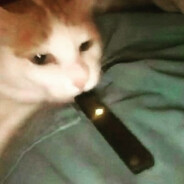 SkatterBoy