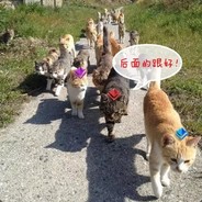 人老枪歪反应迟钝