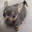 DESTRUCTOR