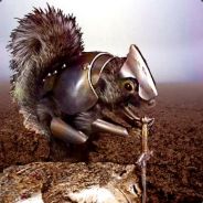 Val'  - GZ NSquirrel