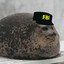 Perico