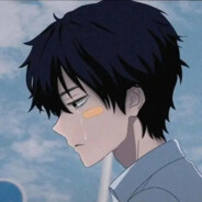 我本将心向明月