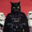 DarthKitteh