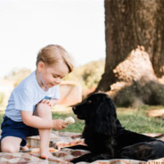 罗密欧与忽必烈