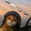 I&#039;M JUST CAT