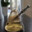 tasty_bongwater