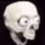Skeleton