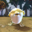 mihalio