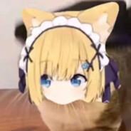 就爱吃点麦当劳