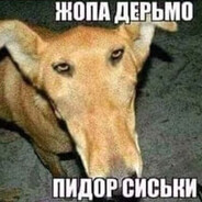 enxofrettt