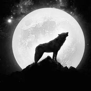 TheLoneWolf010