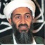 bin laden