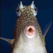 guywhodoesntlookatexplosions