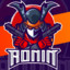 [SALT]Ronin X