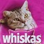 WhiskasSaquetas#9