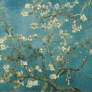 当时共我赏花人