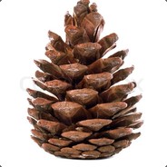 Pinecone