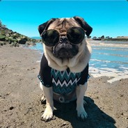 Big Avatar
