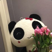 莉莉子的小舔狗♥