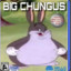 BIG CHUNGUS