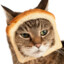 breadCcat