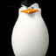 Skipper