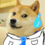 Dash_xh