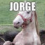 Jorge