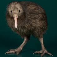Kiwi
