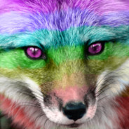 RAINBOW FOX