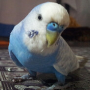 Pr1dson