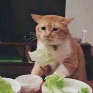 留下了最菜的泪水