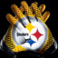 Steelerfan14