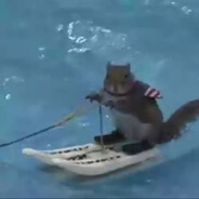 mars - steam id 76561198448435816