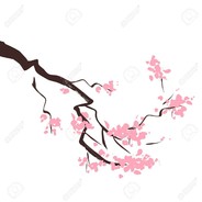 뚱새