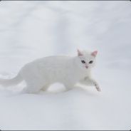 [T]wonqie - steam id 76561197961853650