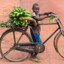 hey African, That&#039;s My Bike!