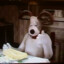 Gromit the cheese maykr