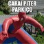 Piter Parkiço