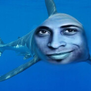 Hamood Habibi