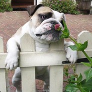 TCLYG_SamsaraLee_Chine