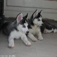 不知道什么是干拉