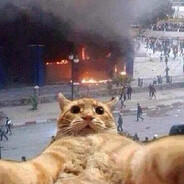 Rioter french cat's avatar