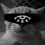 BlindSeer