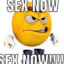 SEX NOW