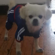 海事幼儿园第一干拉