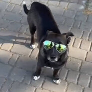 Ṧợϋ₦Đ_ℂøllectør