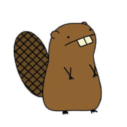 240km/h peek БОБР