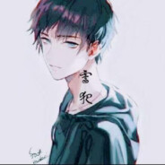 木桥与猫
