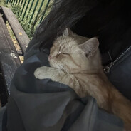 9 - steam id 76561199567842277